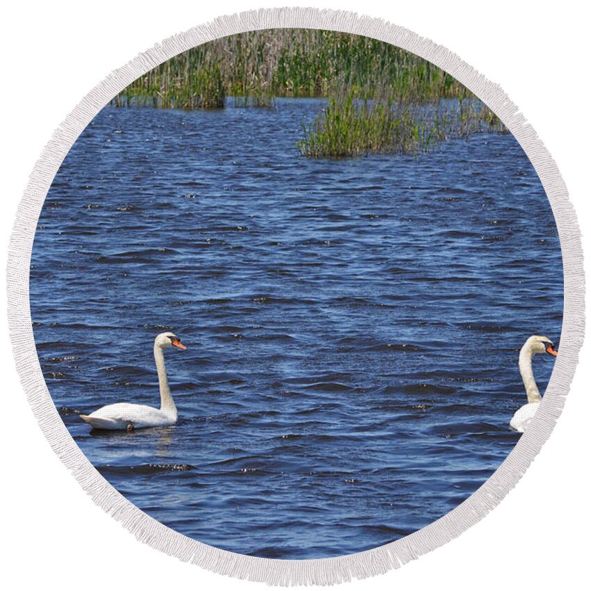 White Round Beach Towel featuring the photograph Swans by Toby McGuire