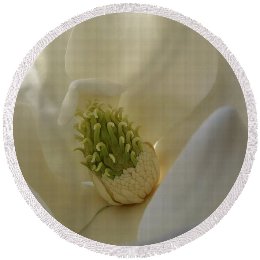Flower Round Beach Towel featuring the photograph Sweet Magnolia by Peggy Hughes