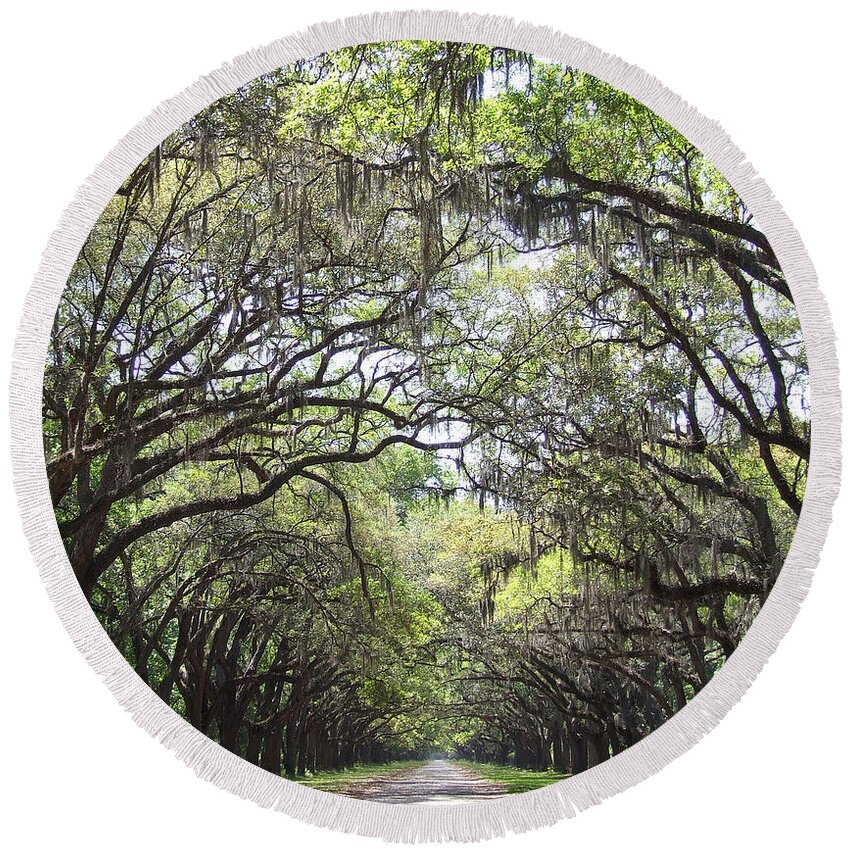 Tree Round Beach Towel featuring the photograph Take me home by Andrea Anderegg