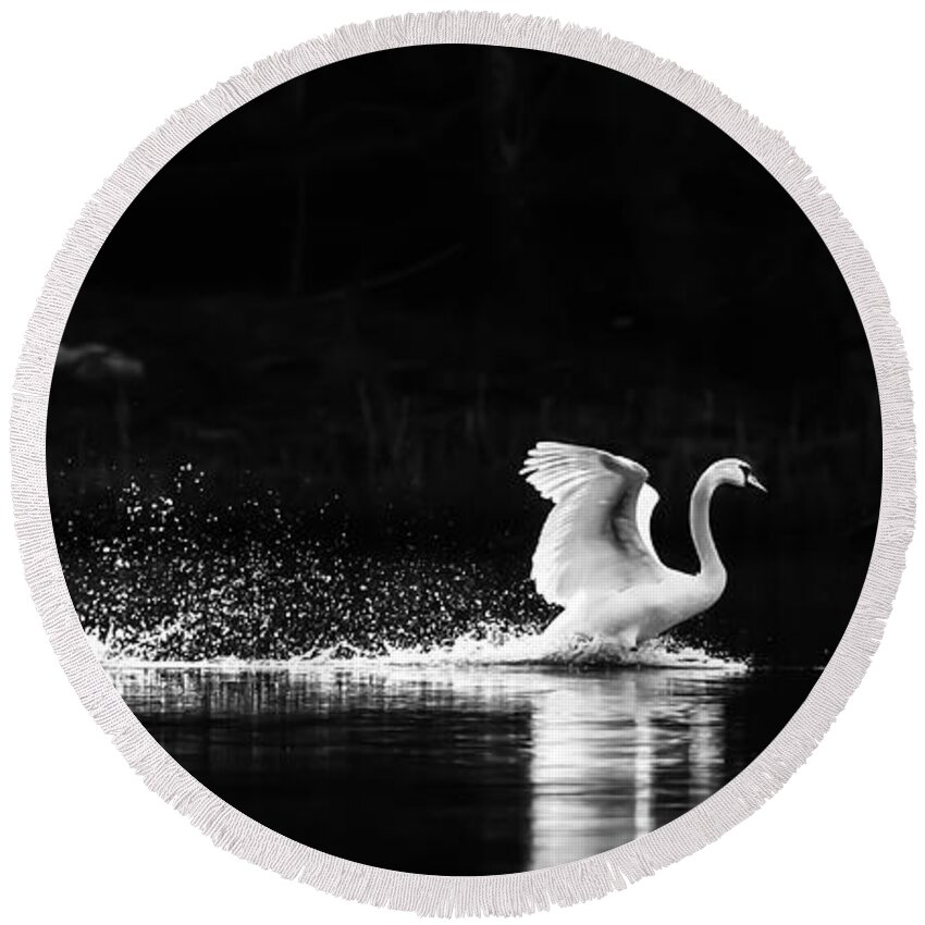 Swans Round Beach Towel featuring the photograph Take Off by Rose-Maries Pictures