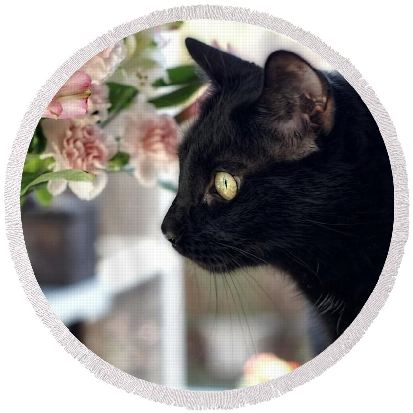 Black Cat Round Beach Towel featuring the photograph Take Time To Smell The Flowers by Peggy Hughes