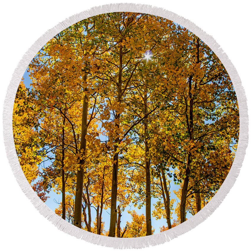 Aspen Trees Round Beach Towel featuring the photograph Tall Aspen with Sunstar by Dawn Key