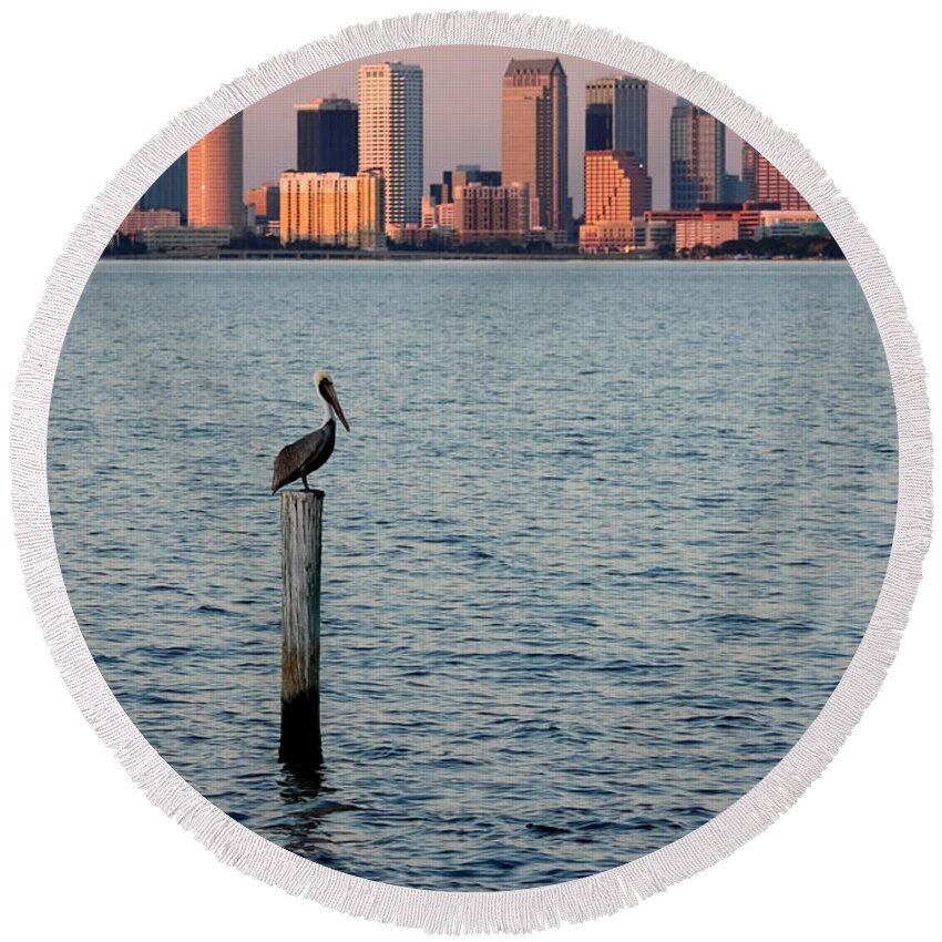 Tampa Round Beach Towel featuring the photograph Tampa Skyline and Pelican by Carol Groenen