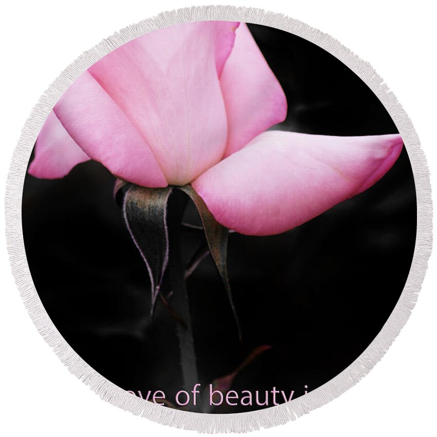Pink Rose Round Beach Towel featuring the photograph Taste And Art by Alex Art