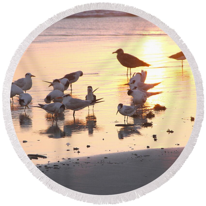 Beach Photos Round Beach Towel featuring the photograph Terns At Sunrise With Seagull by Julianne Felton