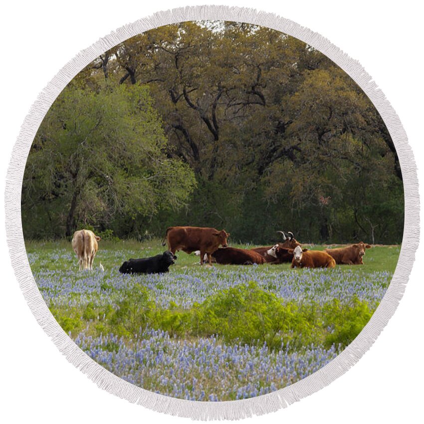 Lupinus Texensis Round Beach Towel featuring the photograph Texas Roadside Wildflowers 681 by Melinda Ledsome