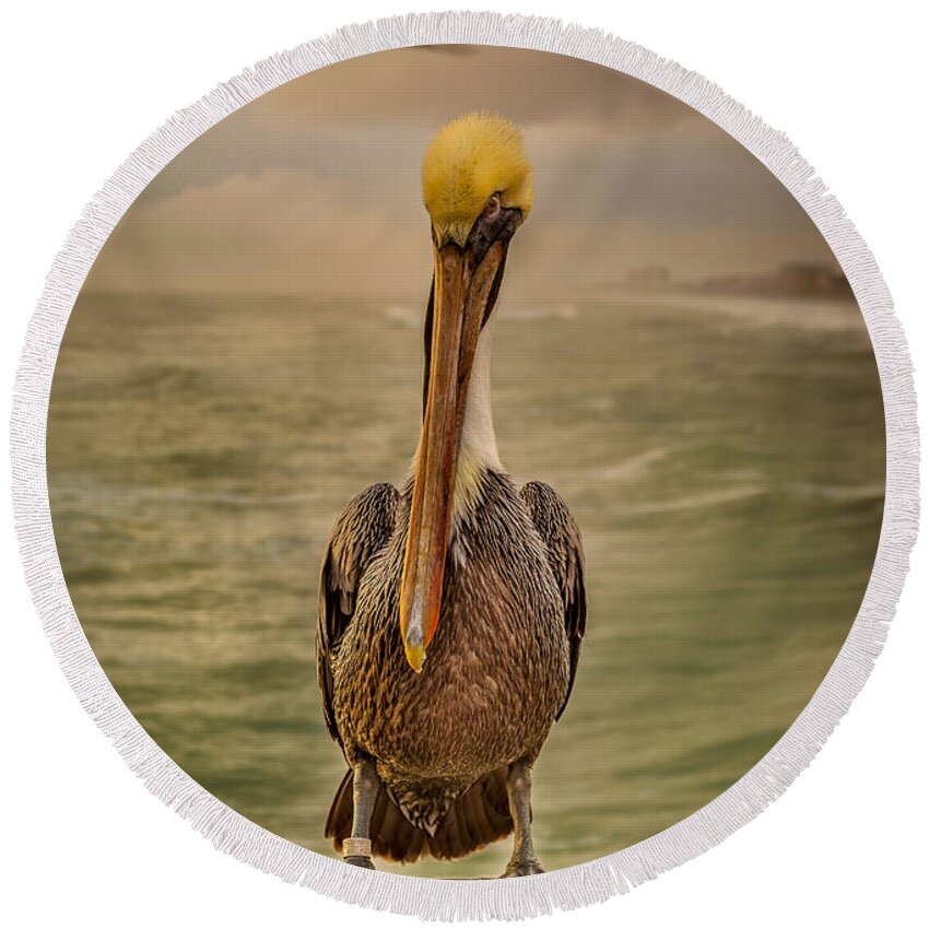 Nature Round Beach Towel featuring the photograph That's Mr. Pelican to You by Steven Reed
