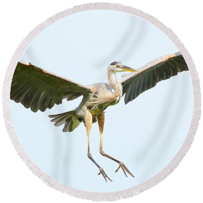 Bird Round Beach Towel featuring the photograph The arrival by Heather King