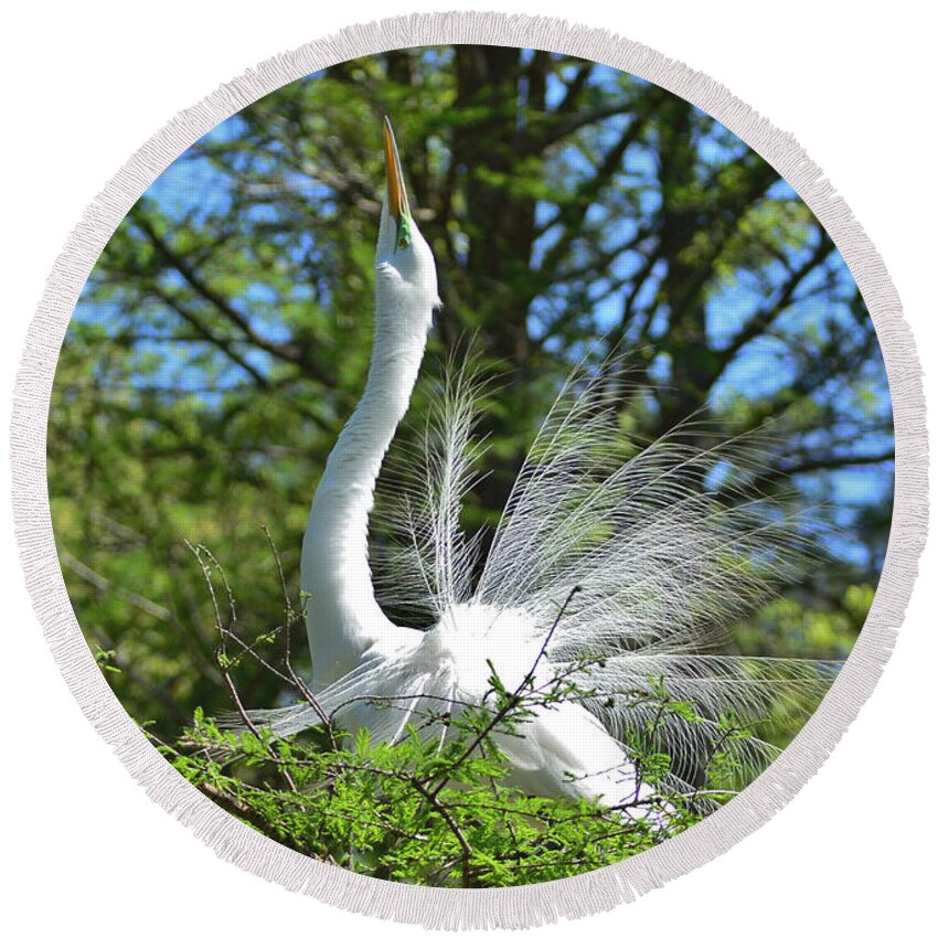 Egret Round Beach Towel featuring the photograph The Big Stretch by Kathy Baccari