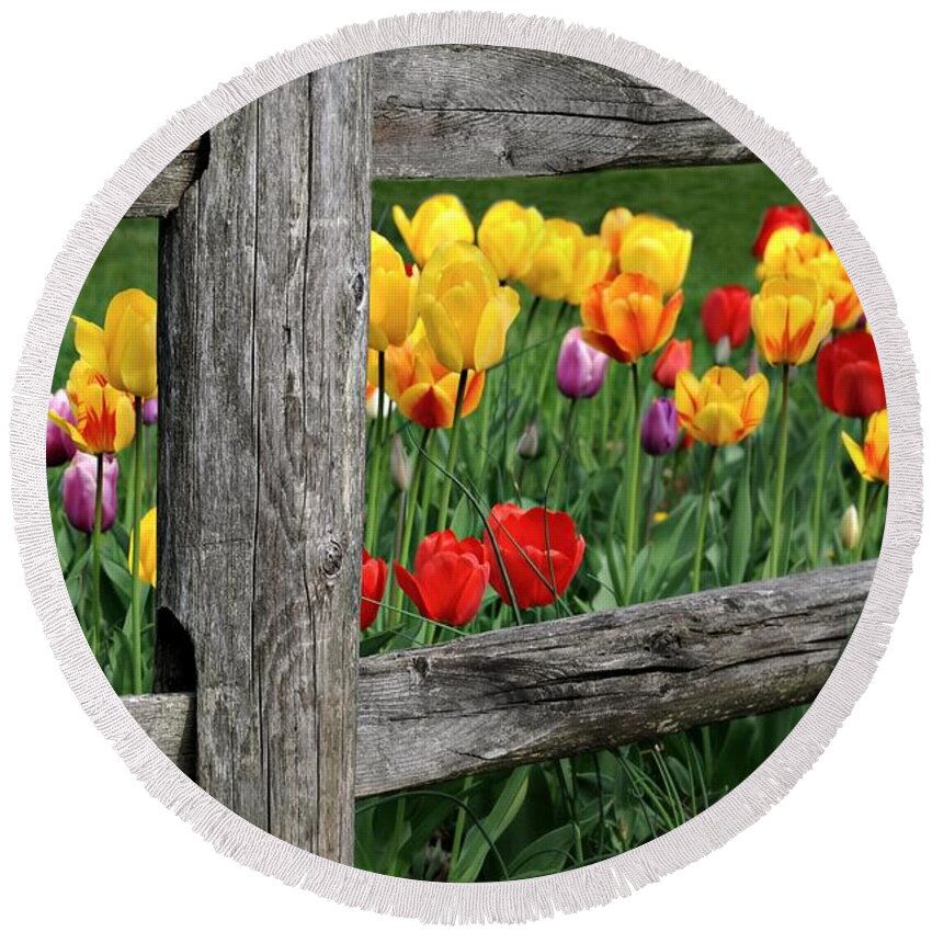 Tulips Round Beach Towel featuring the photograph The Brighter Side by Diana Angstadt