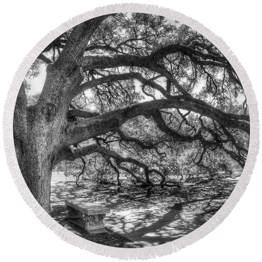 Tree Round Beach Towel featuring the photograph The Century Oak by Scott Norris