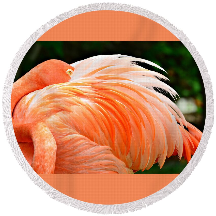 Flamingo Round Beach Towel featuring the photograph The Flamingo by Ally White