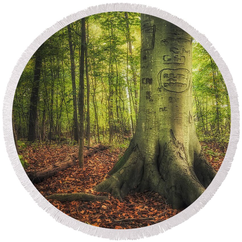 Tree Round Beach Towel featuring the photograph The Giving Tree by Scott Norris
