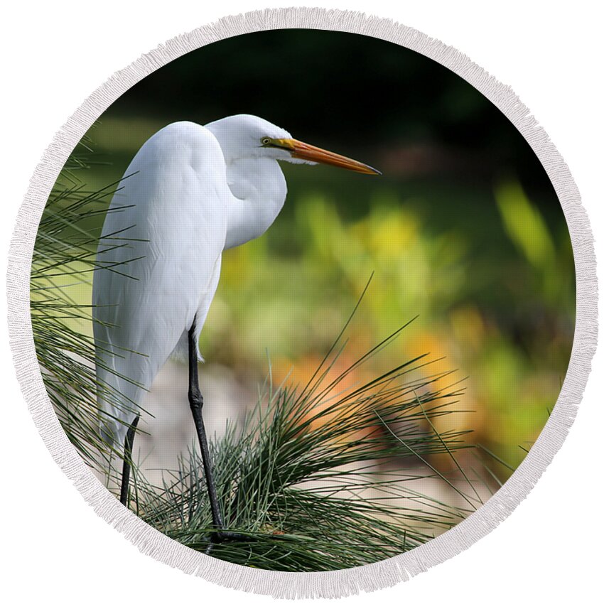 Landscape Round Beach Towel featuring the photograph The Great White Egret by Sabrina L Ryan