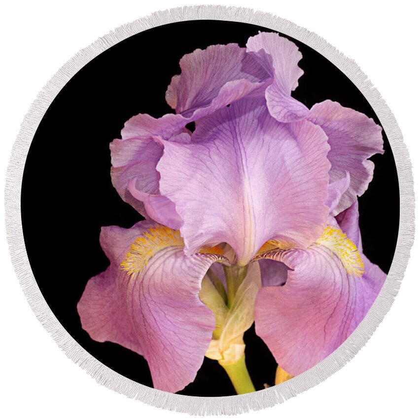 Andee Design Iris Round Beach Towel featuring the photograph The Iris In All Her Glory by Andee Design