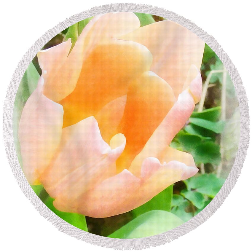 Flower Round Beach Towel featuring the photograph The Pale Orange Tulip by Steve Taylor