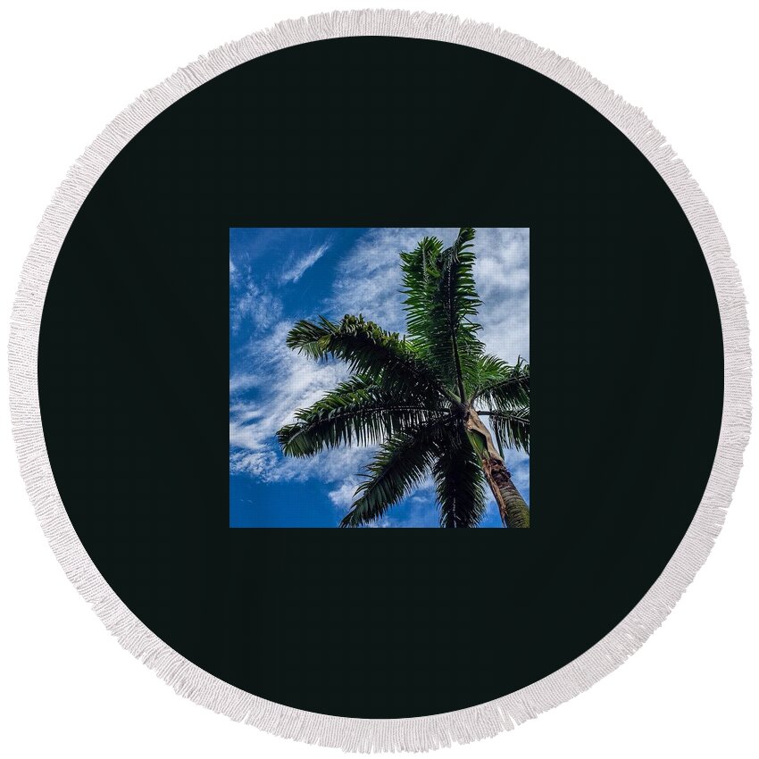 Palm Round Beach Towel featuring the photograph The Palm by Aleck Cartwright