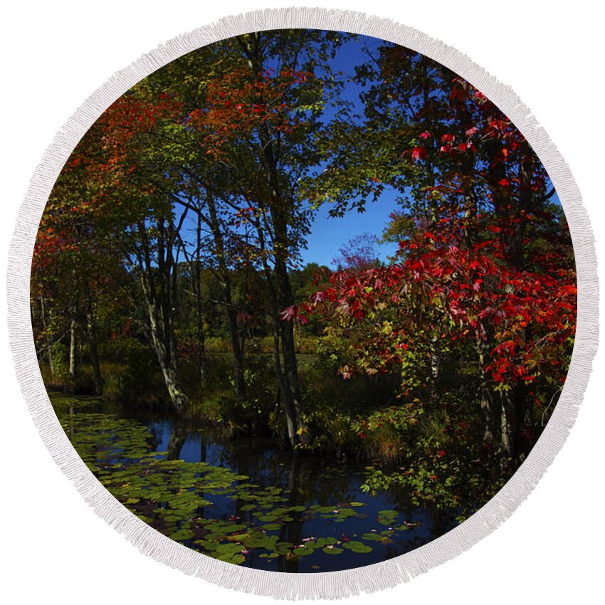 Autumn Round Beach Towel featuring the photograph The Pond In Autumn by Karol Livote