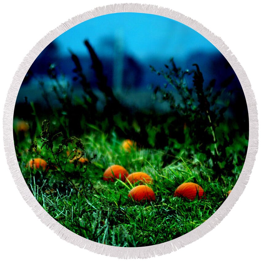 Pumkins Round Beach Towel featuring the photograph The Pumpkin Patch by Lesa Fine