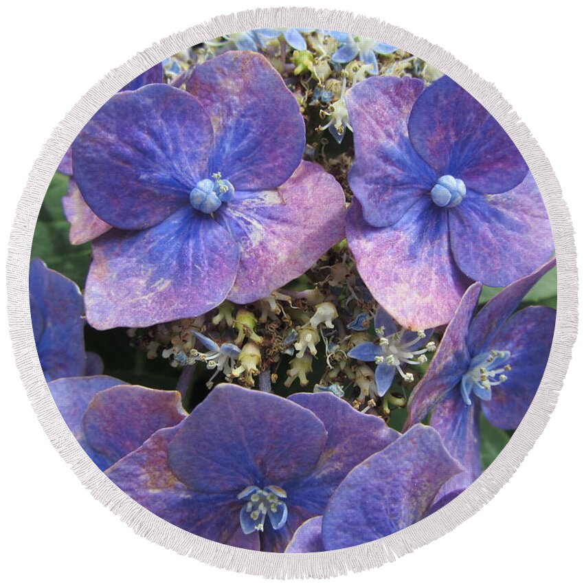 Purple Round Beach Towel featuring the photograph The Purple Hydrangea Flowers by Susan Carella