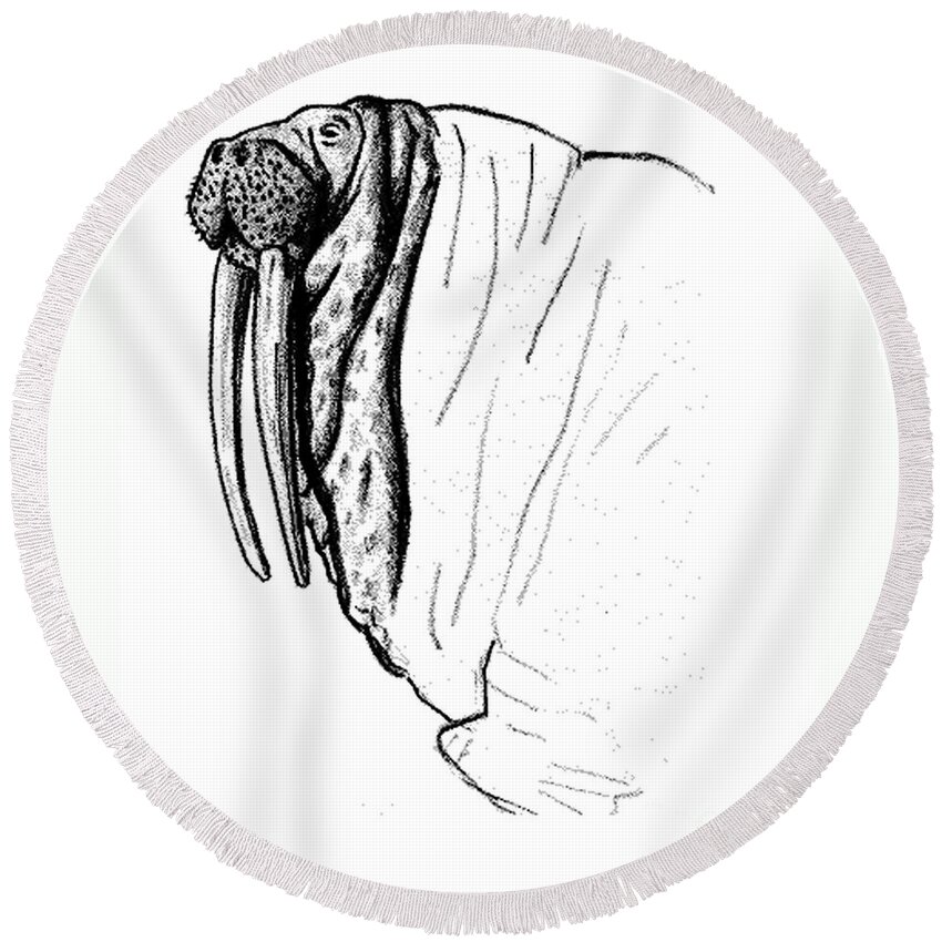 Walrus Round Beach Towel featuring the drawing The Time Has Come the Walrus Said by Art MacKay