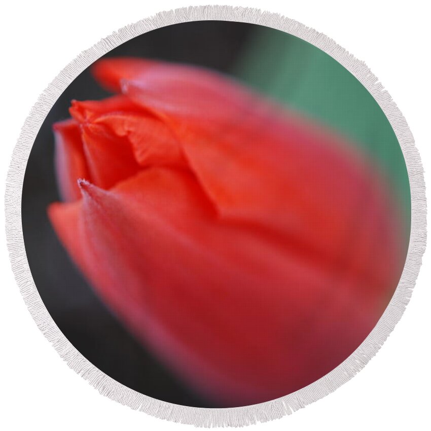 Tulip Round Beach Towel featuring the photograph The Tip of the Tulip by Kathy Paynter