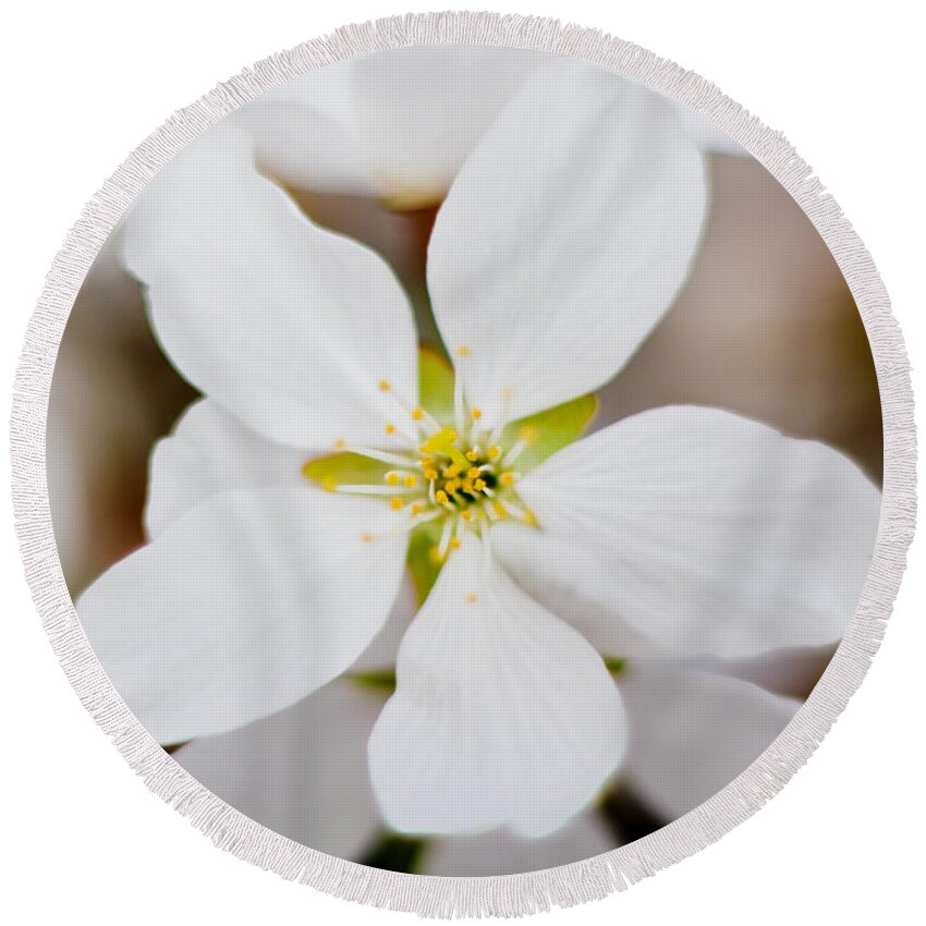 Flower Round Beach Towel featuring the photograph The White Flower by Jonny D