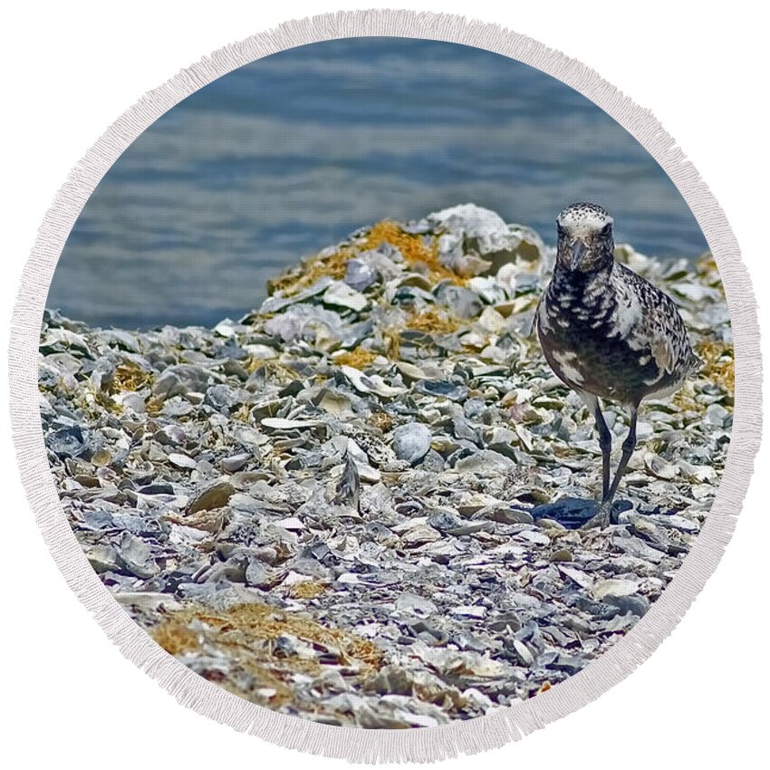 The World Is My Oyster Round Beach Towel featuring the photograph The World Is My Oyster by Gary Holmes
