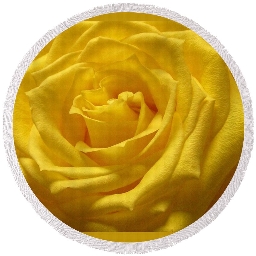 Yellow Rose Round Beach Towel featuring the photograph The Yellow Rose of Texas by Annika Farmer