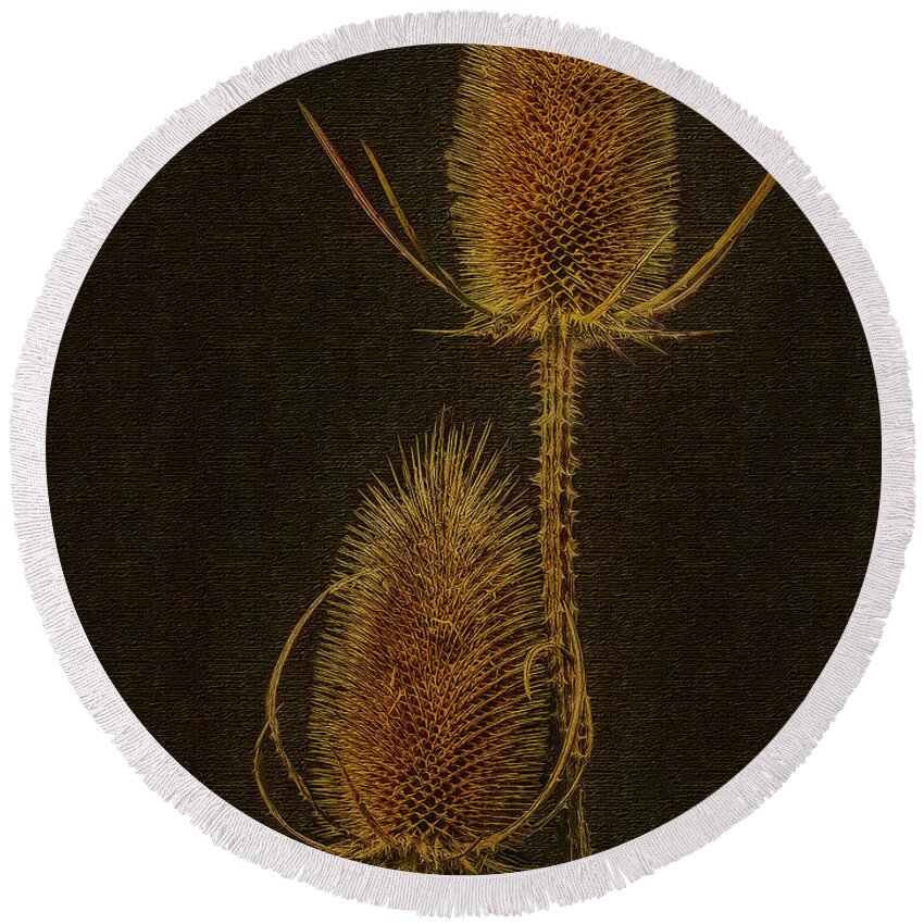 Thisle Round Beach Towel featuring the photograph Thistles by Hanny Heim