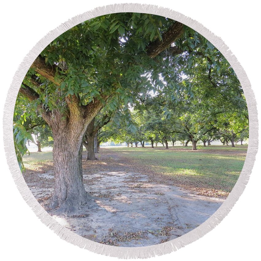 Pecan Round Beach Towel featuring the photograph Through The Orchard by Aaron Martens