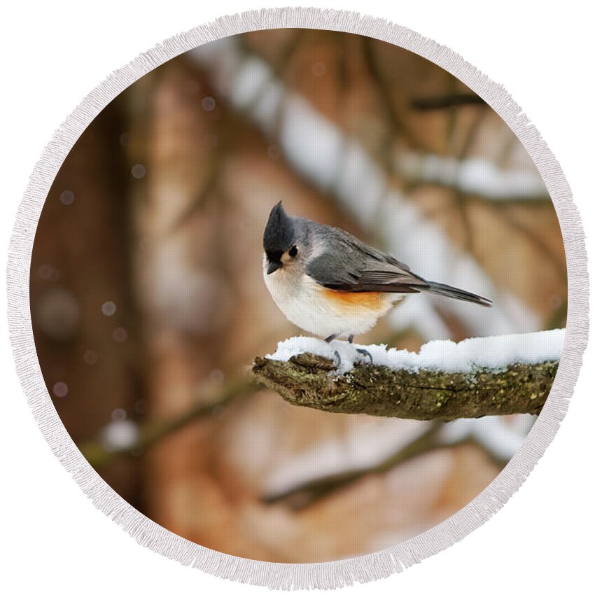 Michigan Round Beach Towel featuring the photograph Titmouse in Winter by Lars Lentz