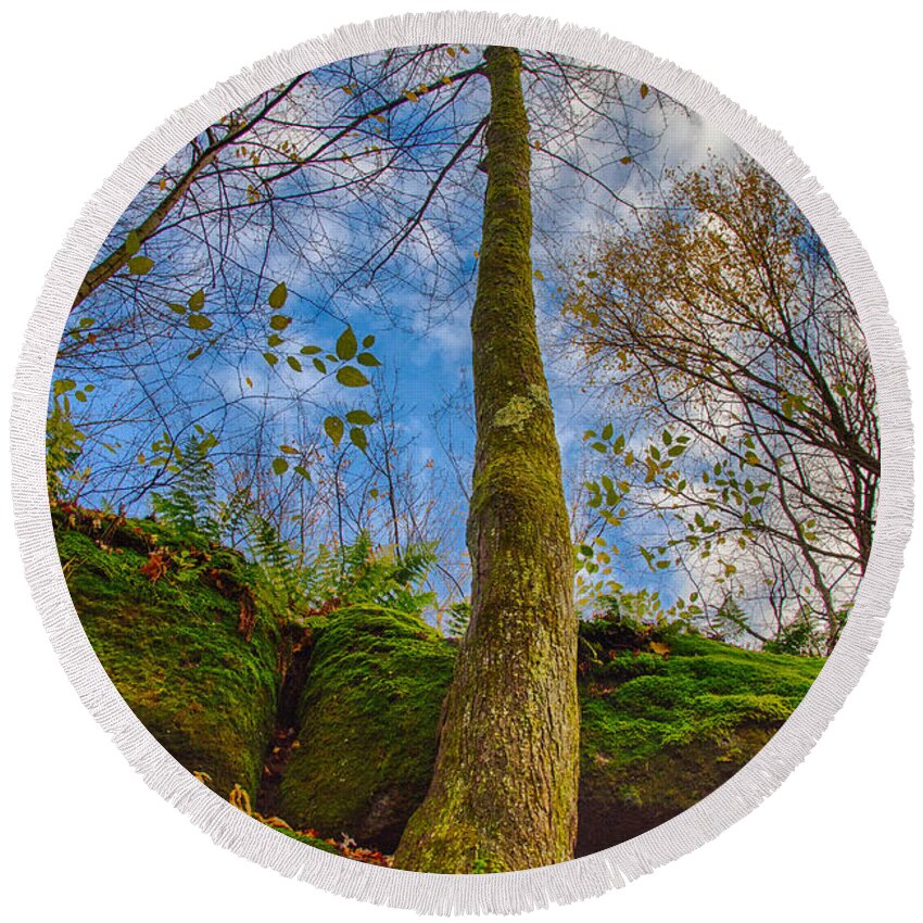 Allegheny State Forest Round Beach Towel featuring the photograph Tree and Rocks by Guy Whiteley