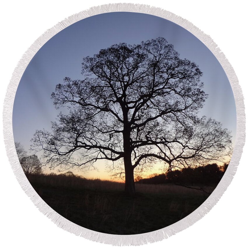 Tree Round Beach Towel featuring the photograph Tree at Dawn by Michael Porchik