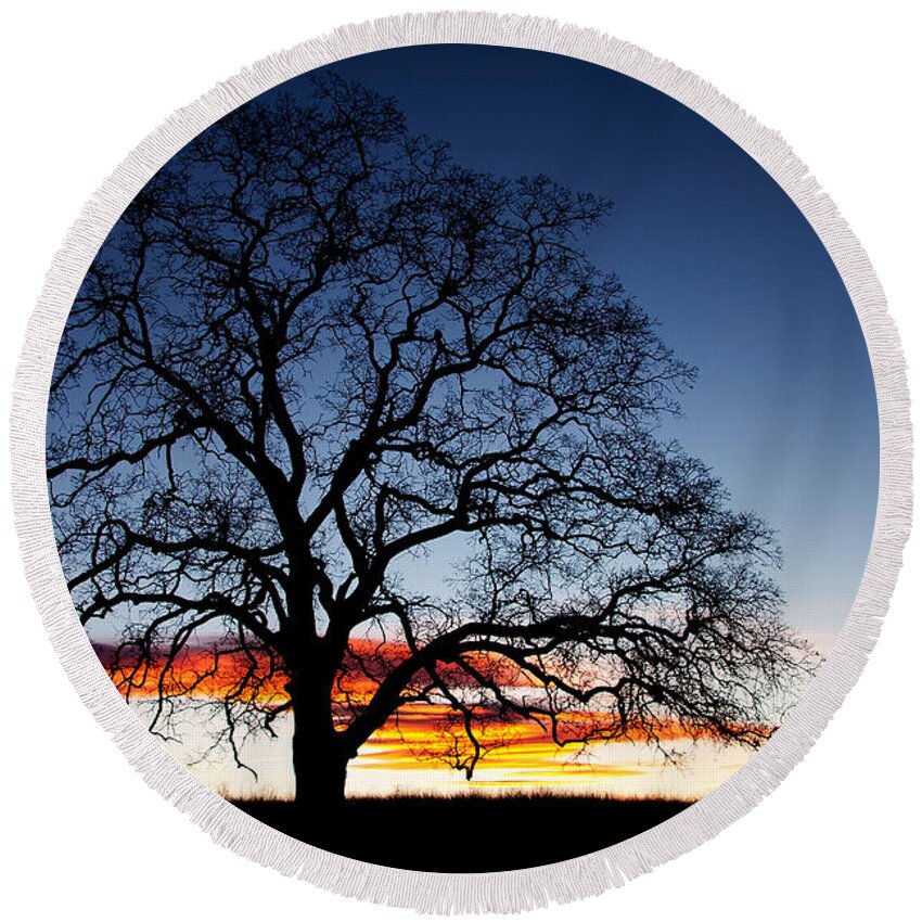 Tree Round Beach Towel featuring the photograph Tree At Sunrise by Robert Woodward