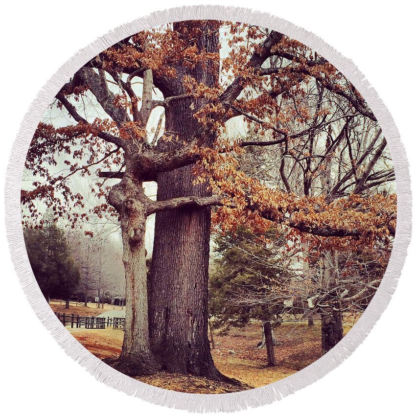 Tree Round Beach Towel featuring the photograph Tree Hugging by Kerri Farley