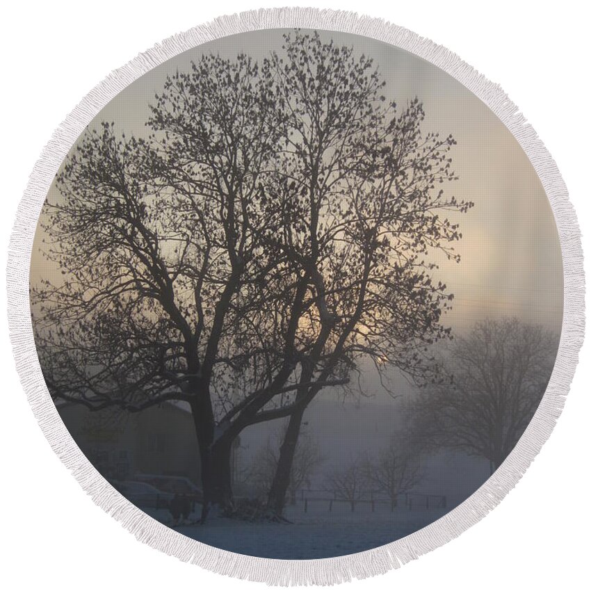 Tree Round Beach Towel featuring the photograph Tree in the foggy winter landscape by Amanda Mohler