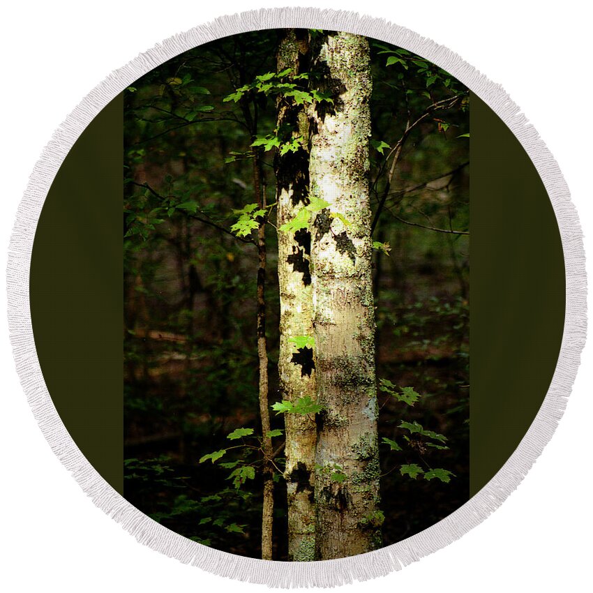 Tree Round Beach Towel featuring the photograph Tree In The Woods by Pamela Critchlow