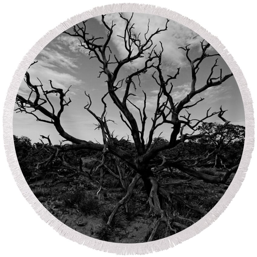 Juniper Tree Round Beach Towel featuring the photograph Tree of the Dead by Jonathan Davison