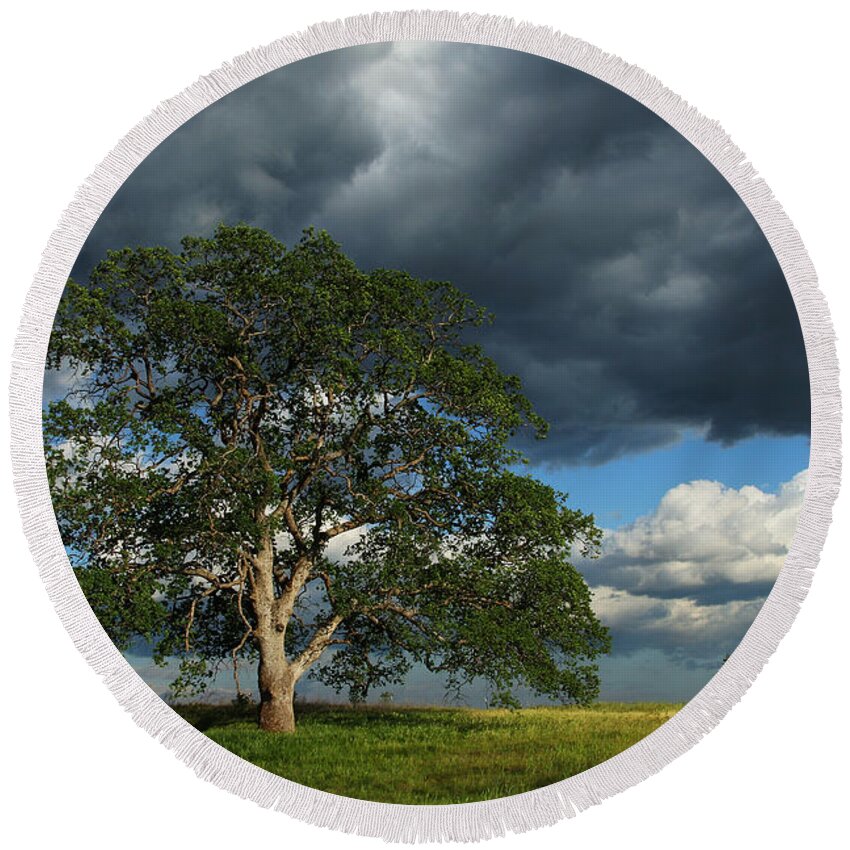 Tree Round Beach Towel featuring the photograph Tree With Storm Clouds by Robert Woodward