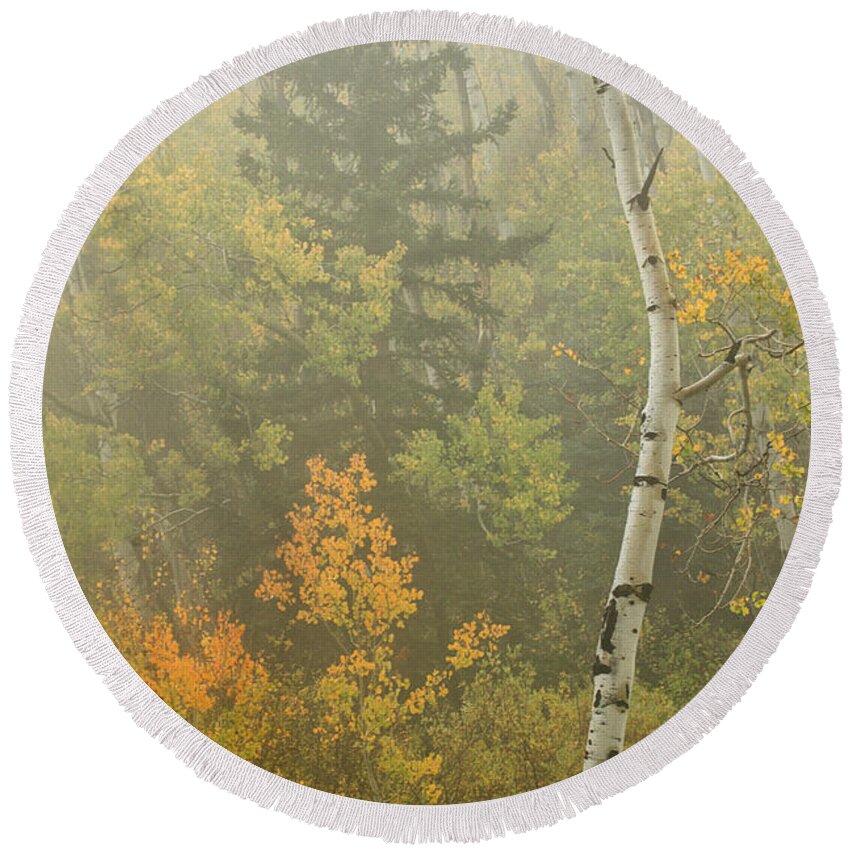Fall Round Beach Towel featuring the photograph Trees in the Fog by Ronda Kimbrow