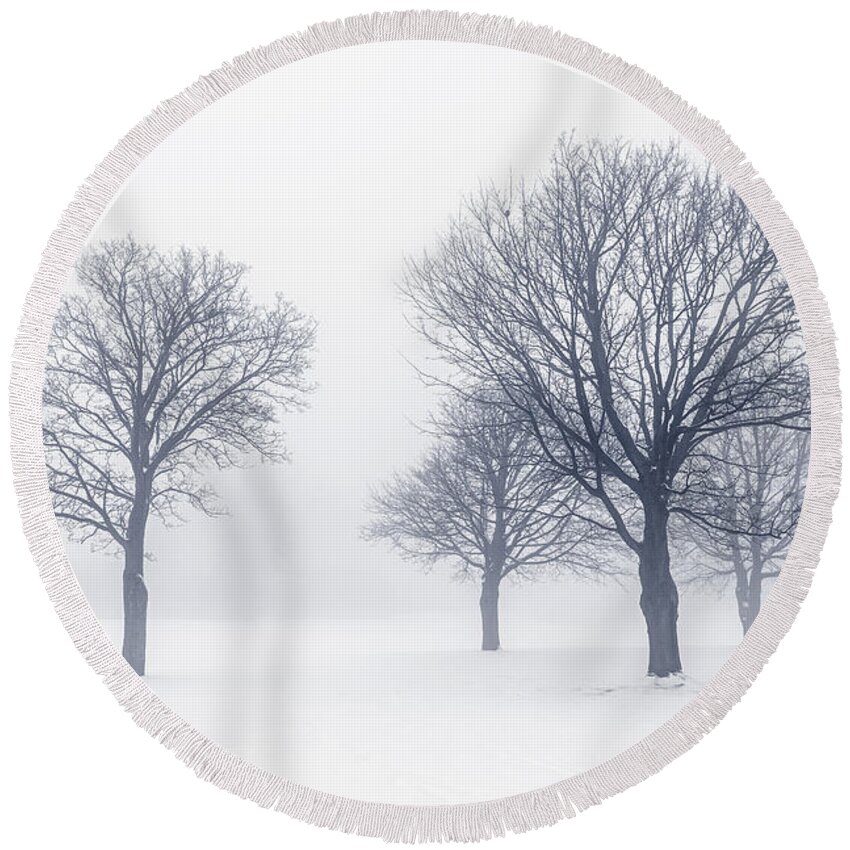 Trees Round Beach Towel featuring the photograph Trees in winter fog 2 by Elena Elisseeva