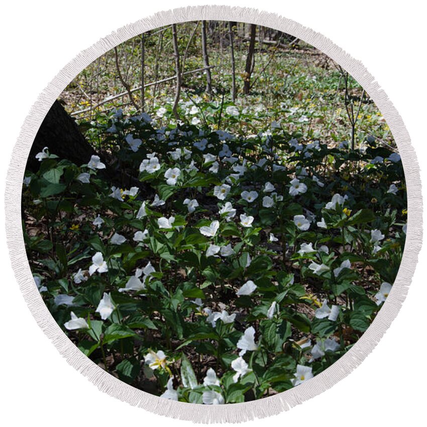 Forest Round Beach Towel featuring the photograph Trillium Forest by Laurel Best