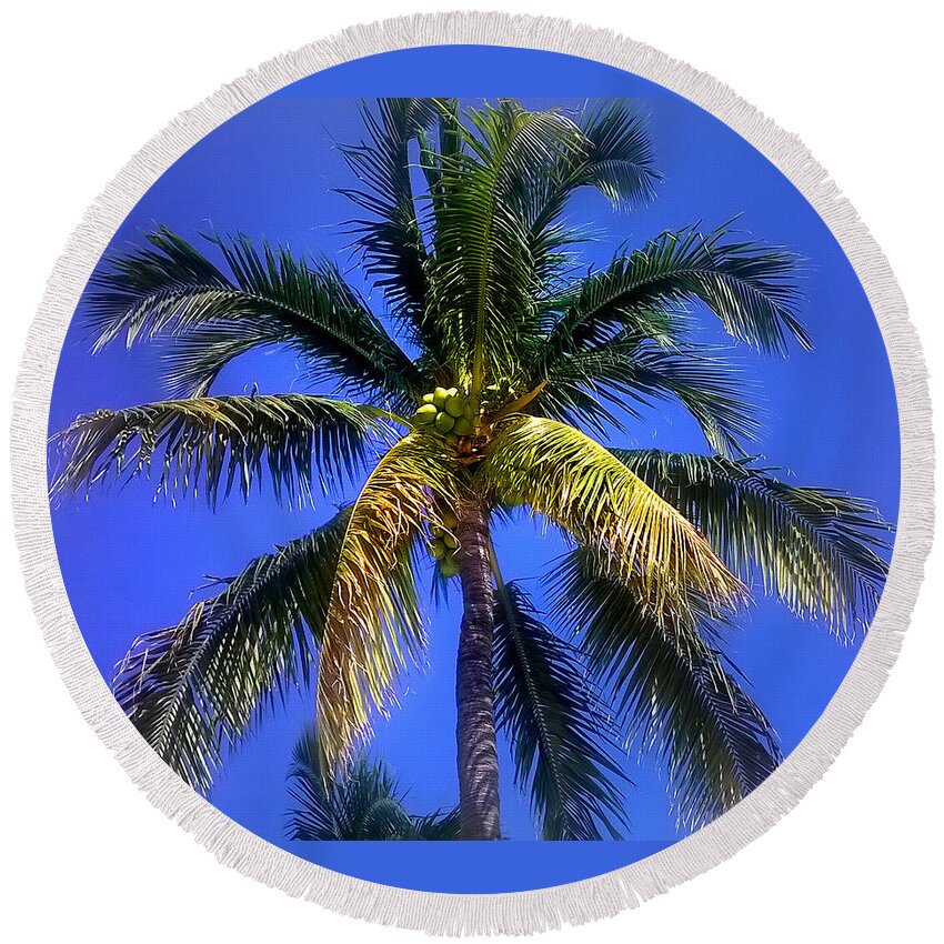 Duane Mccullough Round Beach Towel featuring the photograph Tropical Palm Trees 8 by Duane McCullough