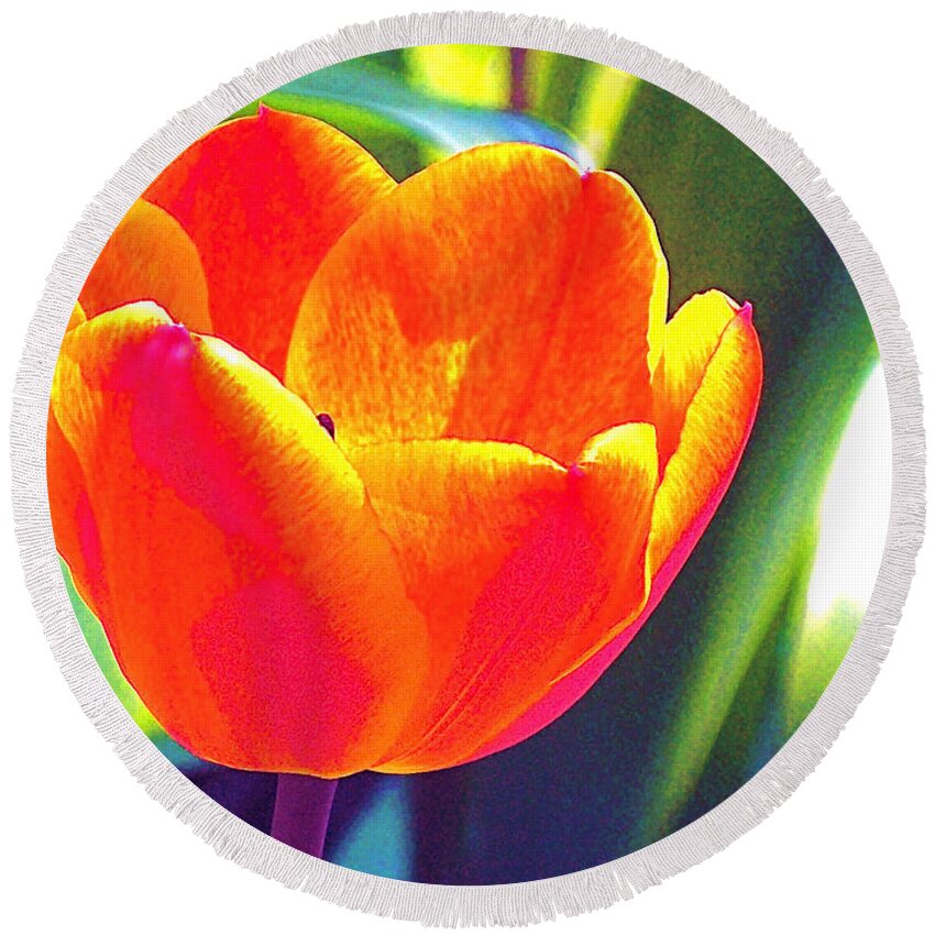 Tulip Round Beach Towel featuring the photograph Tulip 2 by Pamela Cooper