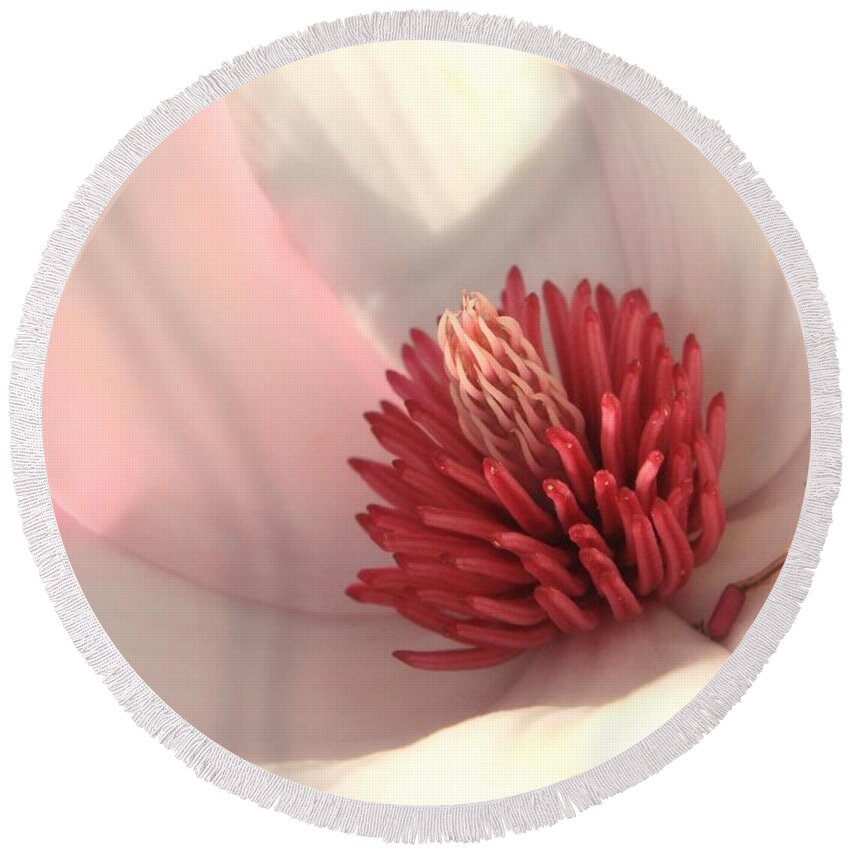 Saucer Magnolia Round Beach Towel featuring the photograph Tulip Tree Blossom by Carol Groenen