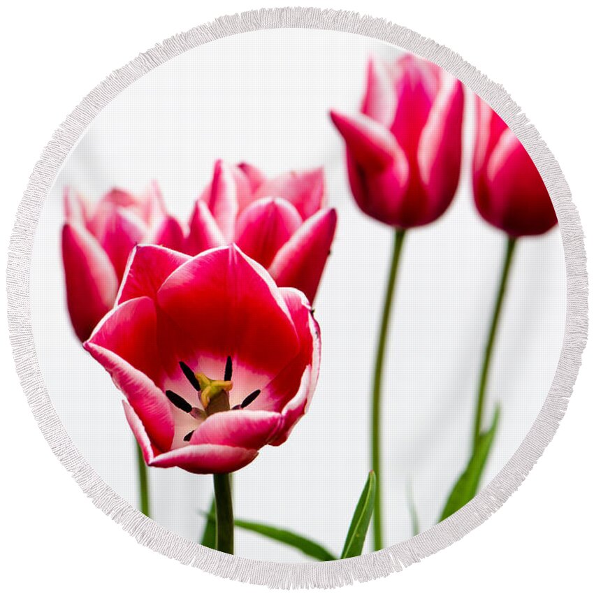  Round Beach Towel featuring the photograph Tulips Say Hello by Michael Arend