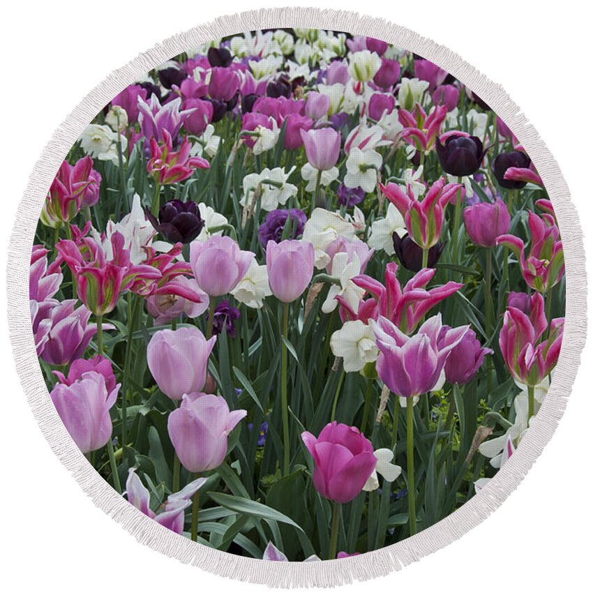 Tulips Round Beach Towel featuring the photograph Tulips by Valerie Brown