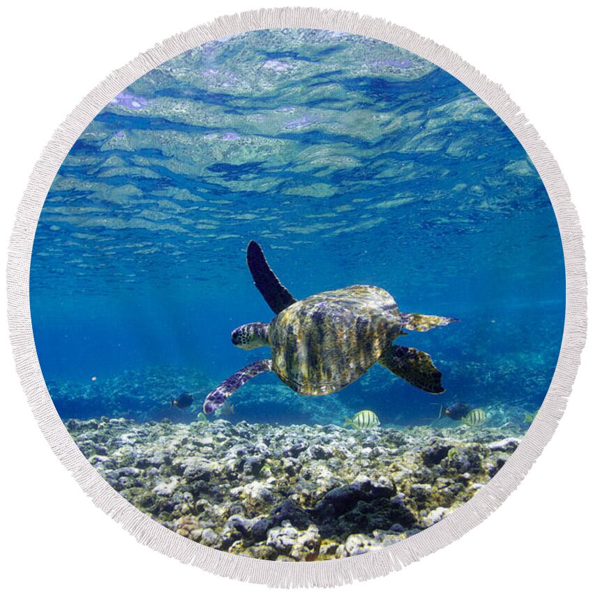 Sea Round Beach Towel featuring the photograph Turtle Cruise by Sean Davey