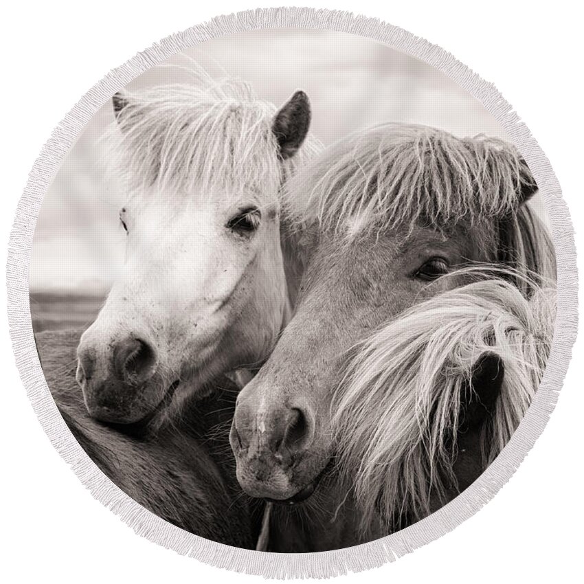 Horses Round Beach Towel featuring the photograph Two icelandic horses sepia photo by Matthias Hauser